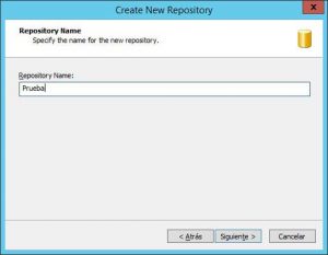 VisualSVNServer_Create_New_Repository_Name